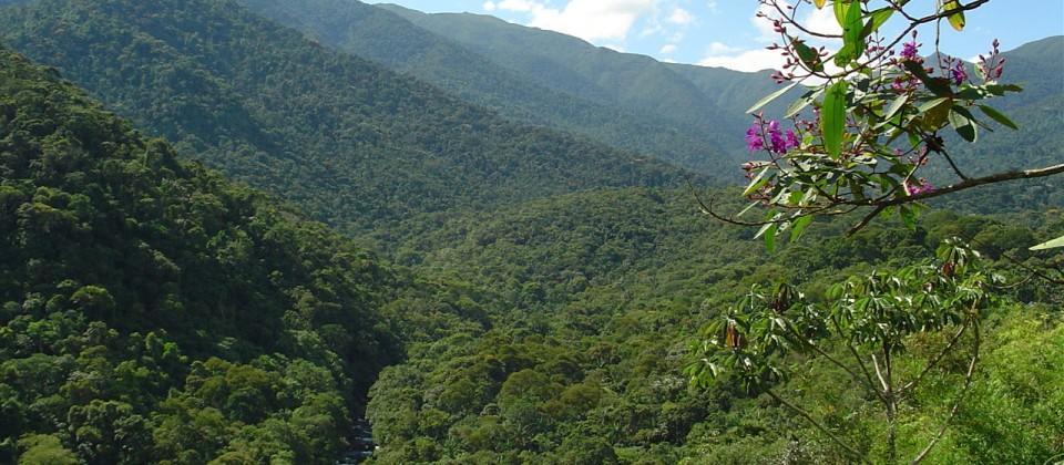 Stay In Itatiaia Itatiaia  Exterior foto